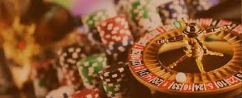 Sports and casino-style sections on 877bet for cricket and entertainment